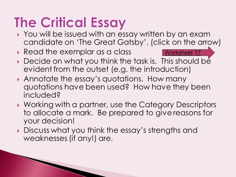 What should you include in the introduction of an essay